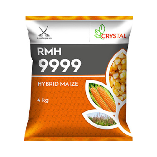 RMH 9999 Maize Seeds