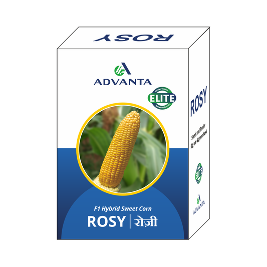 Rosy Sweet Corn Seeds - Advanta | F1 Hybrid | Buy Online at Best Price