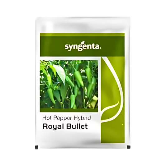 Royal Bullet Chilli Seeds - Syngenta | F1 Hybrid | Buy Online at Best Price