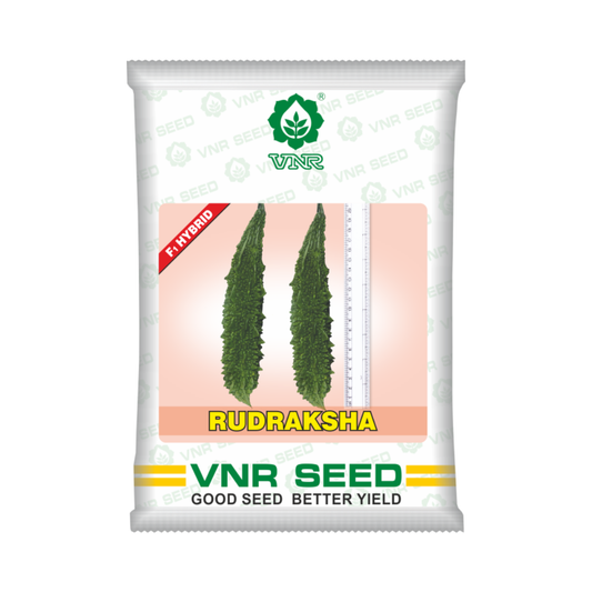 Rudraksha Bitter Gourd Seeds - VNR | F1 Hybrid | Buy Online at Best Price
