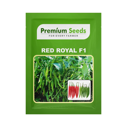 Red Royal Chilli Seeds - Premium Seeds | F1 Hybrid | Buy Online at Best Price