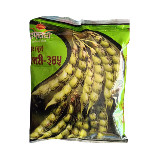 DPV-345 Red Gram Seeds - Daftari | Buy Online at Best Price - DesiKheti