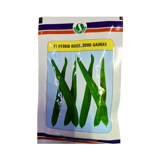 Gaurav Ridge Gourd Seeds - Sungro Seeds | F1 Hybrid | Buy Online at Best Price