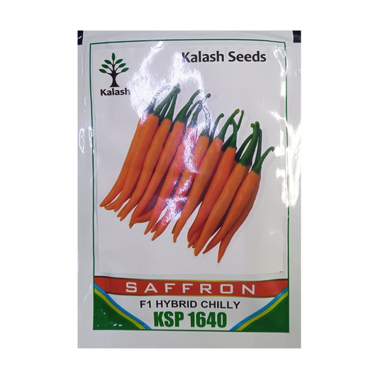Saffron Chilli Seeds - Kalash | F1 Hybrid | Buy Online at Best Price