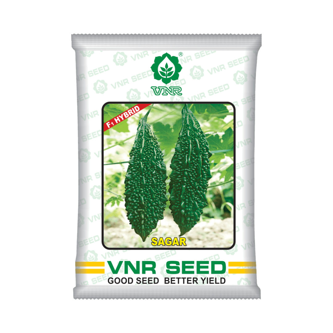 Sagar Bitter Gourd Seeds - VNR | F1 Hybrid | Buy Online at Best Price