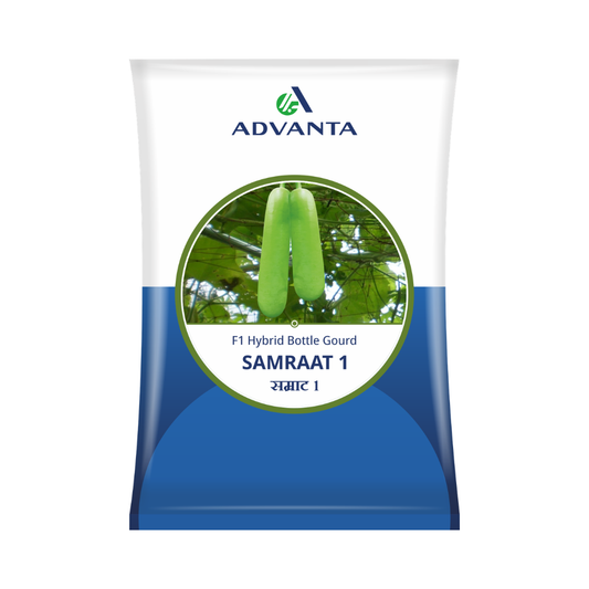 Samraat 1 Bottle Gourd Seeds - Advanta | F1 Hybrid | Buy Online Now