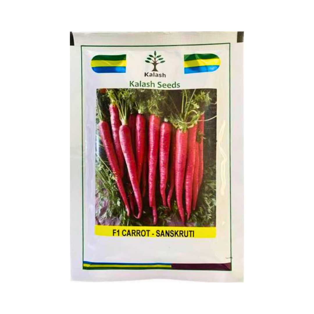 KSP 1443 Sanskruti Carrot Seeds - Kalash | F1 Hybrid | Buy Online at Best Price
