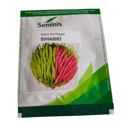 SVHA 9093 Chilli Seeds | Buy Online At Best Price