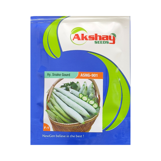 ASNG-901 Snake Gourd Seeds - Akshay Seeds | F1 Hybrid | Buy Online Now
