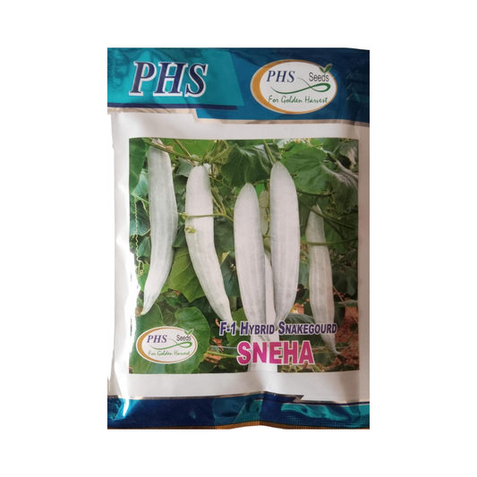 Sneha Snake Gourd Seeds - PHS | F1 Hybrid | Buy Online at Best Price