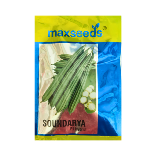 Soundarya Ridge Gourd Seeds - Max | F1 Hybrid | Buy Online at Best Price