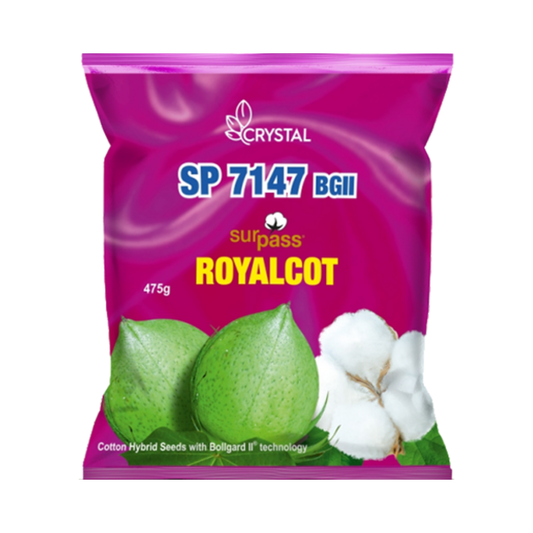 SP 7147 BG II Cotton Seeds - Crystal | F1 Hybrid | Buy Online Now