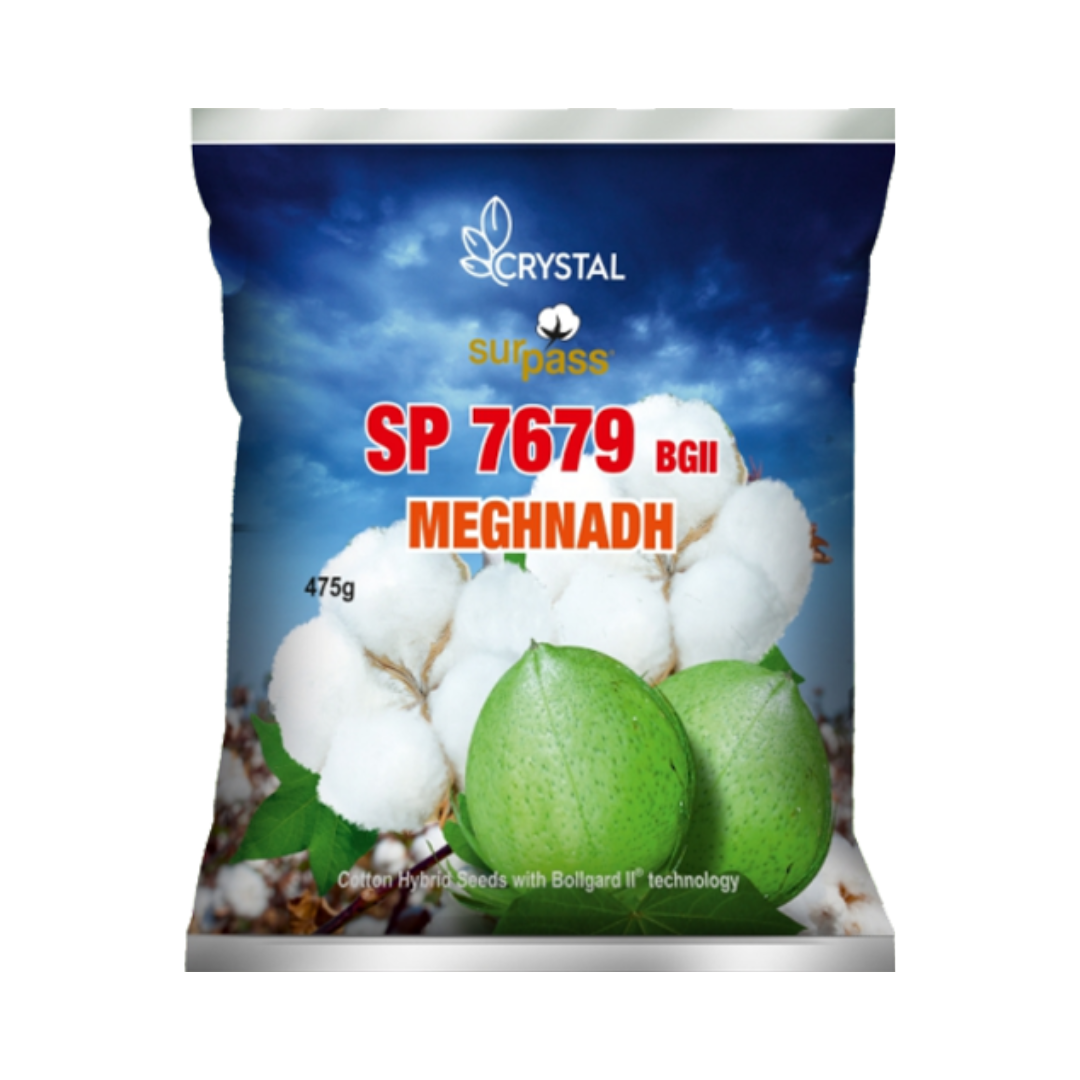 SP 7679 (Meghnadh) BG II Cotton Seeds - Crystal | F1 Hybrid | Buy Online Now