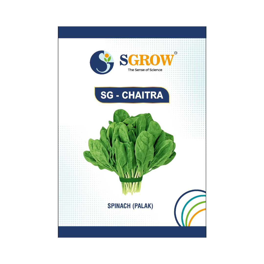 SG-Chaitra Spinach (Palak) Seeds - SGrow | Buy Online at Best Price