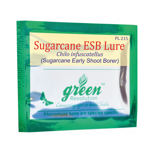 Sugarcane Esb Lure Chilo Infuscatellus (Pack of 10) - Green Revolution