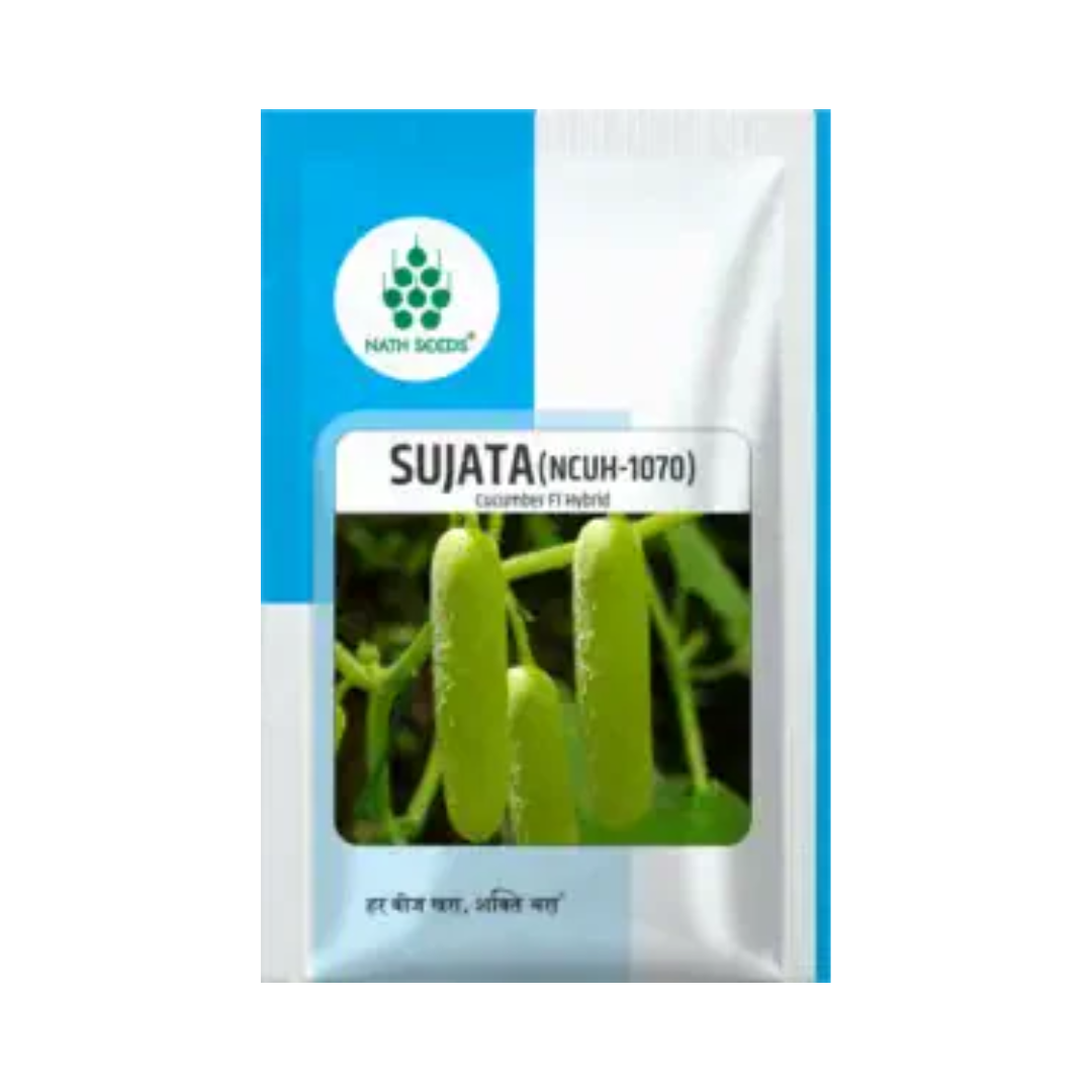 Sujata (NCUH-1070) Cucumber Seeds - Nath | F1 Hybrid | Buy Online at Best Price