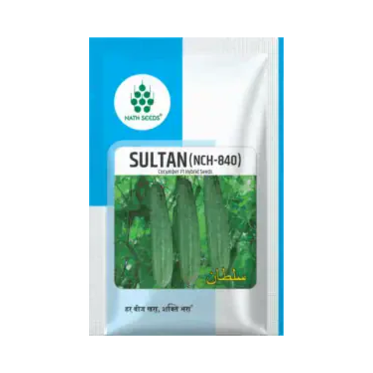 Sultan (NCH-840) Cucumber Seeds - Nath | F1 Hybrid | Buy Online at Best Price