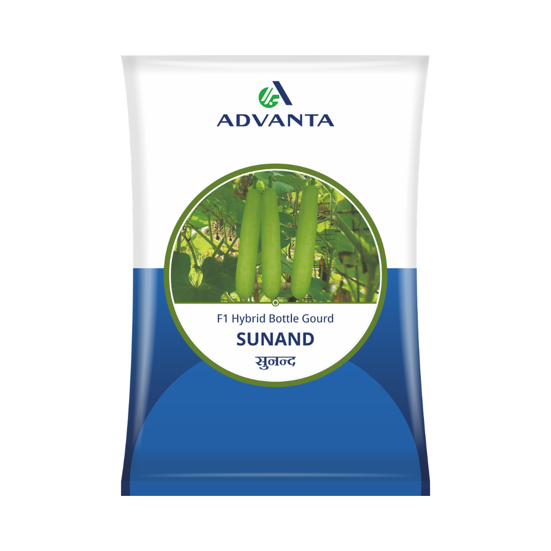 Sunand Bottle Gourd Seeds - Advanta | F1 Hybrid | Buy Online Now