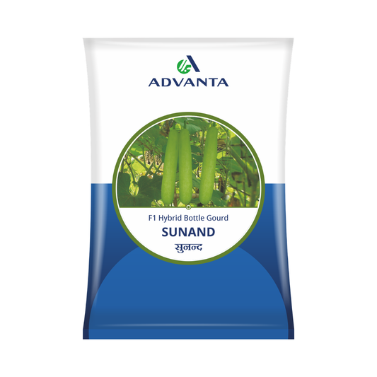 Sunand Bottle Gourd Seeds - Advanta | F1 Hybrid | Buy Online Now