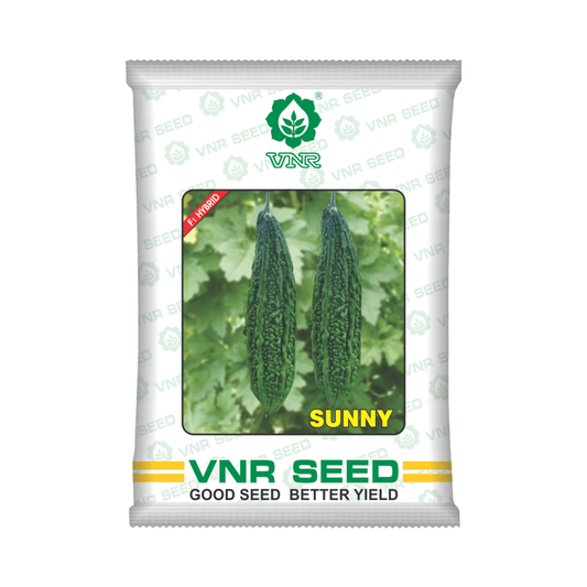 Sunny Bitter Gourd Seeds - VNR | F1 Hybrid | Buy Online at Best Price