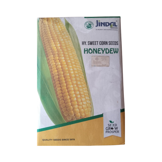 Honeydew Sweet Corn Seeds - Jindal Seeds | F1 Hybrid | Buy Online Now