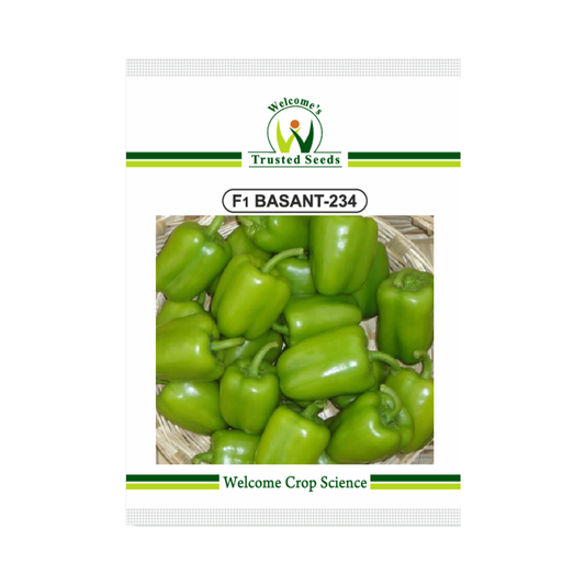 Basant-234 Capsicum Seeds - Welcome | F1 Hybrid | Buy Online Now