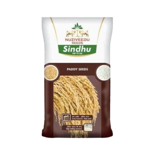 Sindhu NP-9156 Paddy Seeds - Nuziveedu | F1 Hybrid | Buy Online at Best Price