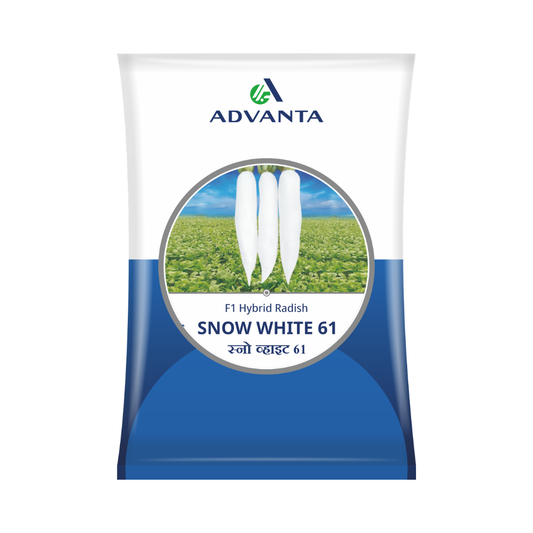 Snow White 61 Radish Seeds - Advanta | F1 Hybrid | Buy Online at Best Price