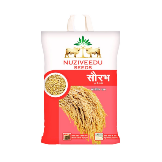 Sourabh NP-950 Paddy Seeds - Nuziveedu | F1 Hybrid | Buy Online at Best Price
