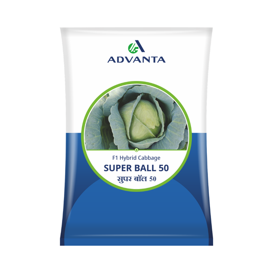 Super Ball 50 Cabbage Seeds - Advanta | F1 Hybrid | Buy Online at Best Price