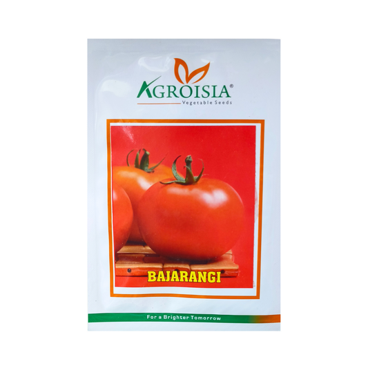 Bajarangi Tomato Seeds - Agroisia | F1 Hybrid | Buy Online Now