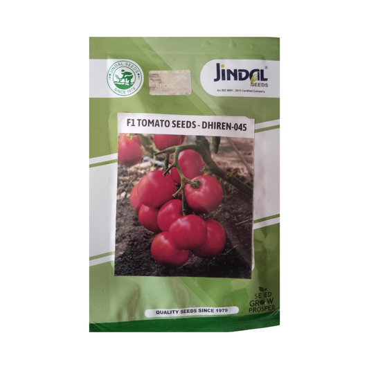 Dhiren-045 Tomato Seeds - Jindal Seeds | F1 Hybrid | Buy Online Now