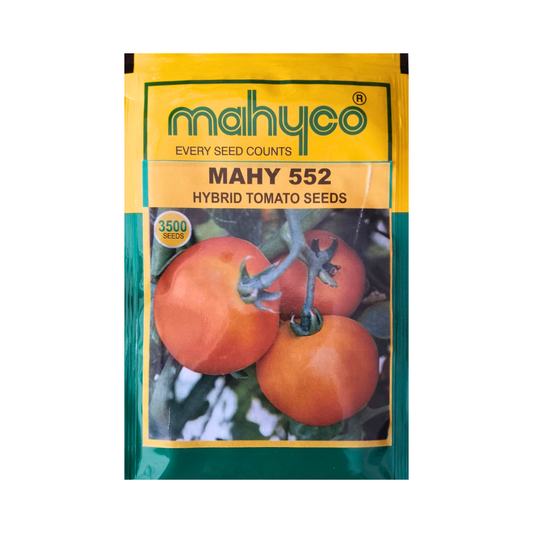Mahy 552 Tomato Seeds - Mahyco | F1 Hybrid | Buy Online at Best Price