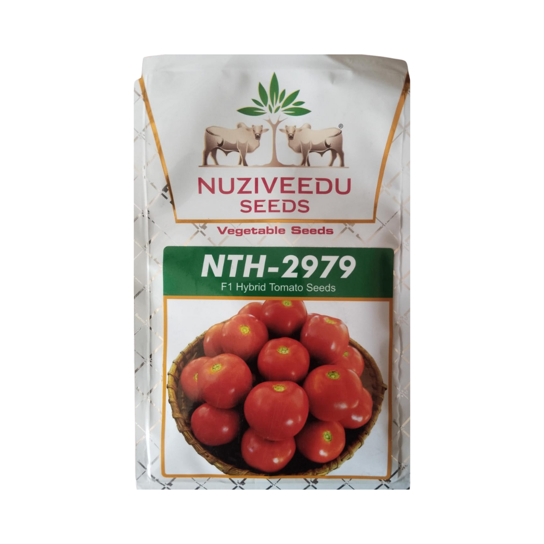 NTH-2979 Tomato Seeds - Nuziveedu | F1 Hybrid | Buy Online at Best Price