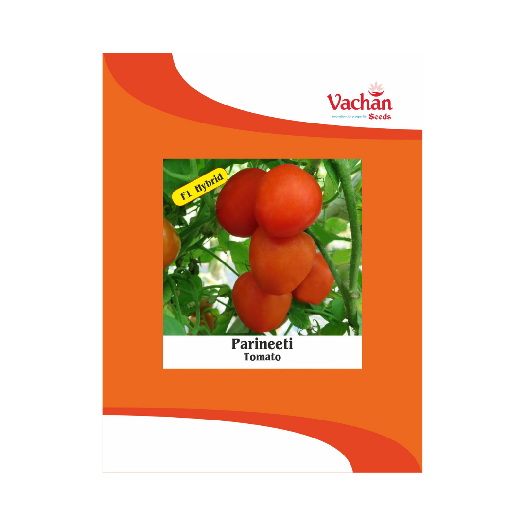 Parineeti Tomato Seeds - Vachan | F1 Hybrid | Buy Online Now - DesiKheti