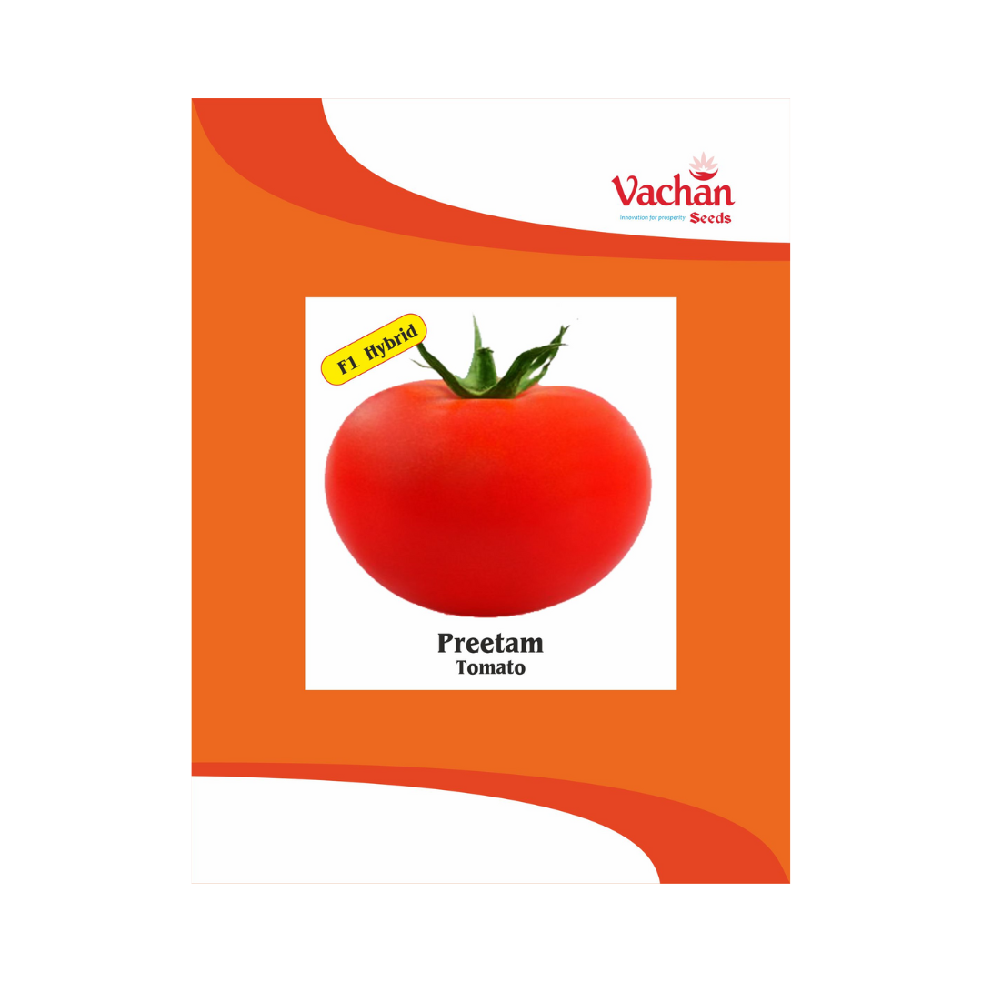 Preetam Tomato Seeds - Vachan | F1 Hybrid | Buy Online Now - DesiKheti