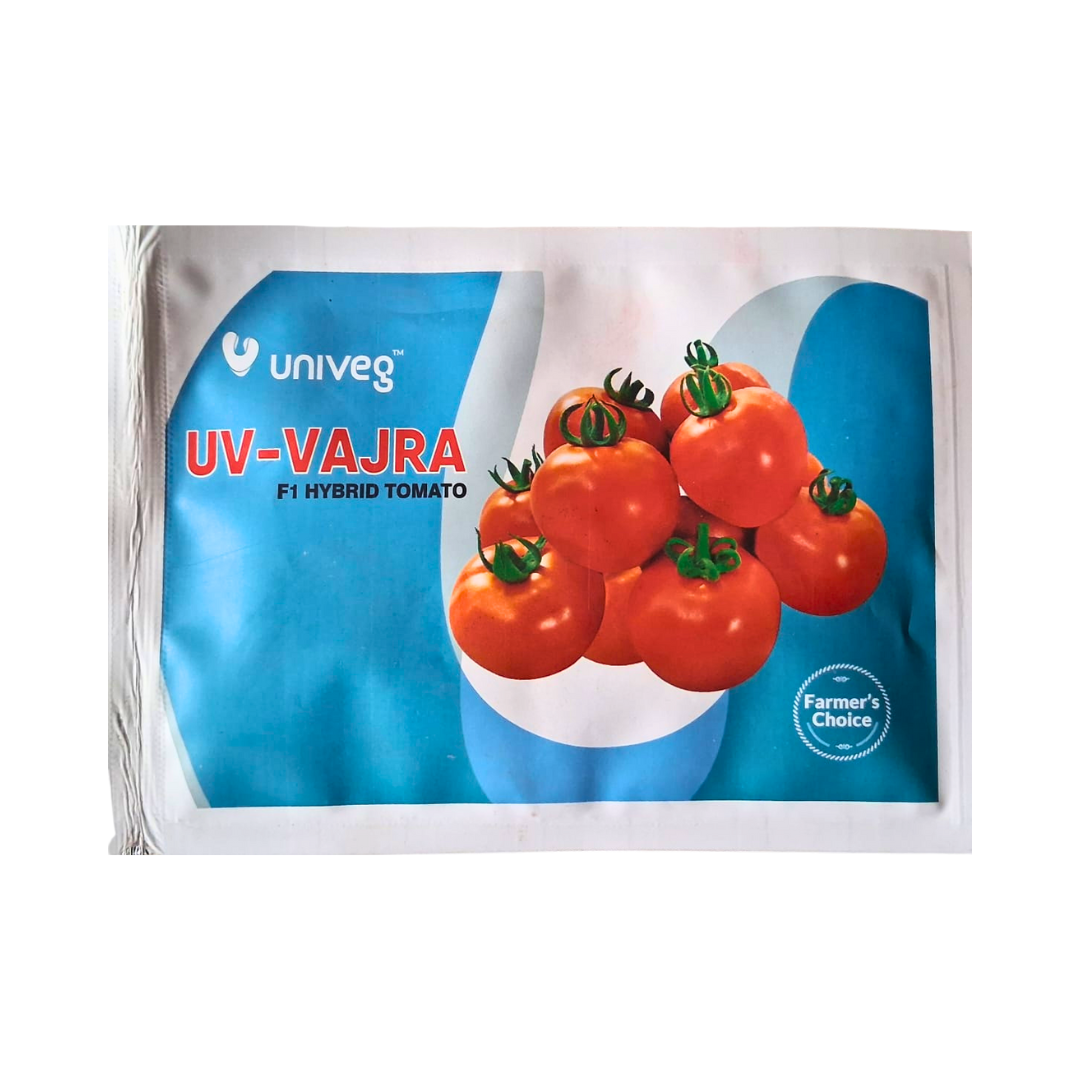 UV-Vajra Tomato Seeds - Univeg | F1 Hybrid | Buy Online at Best Price