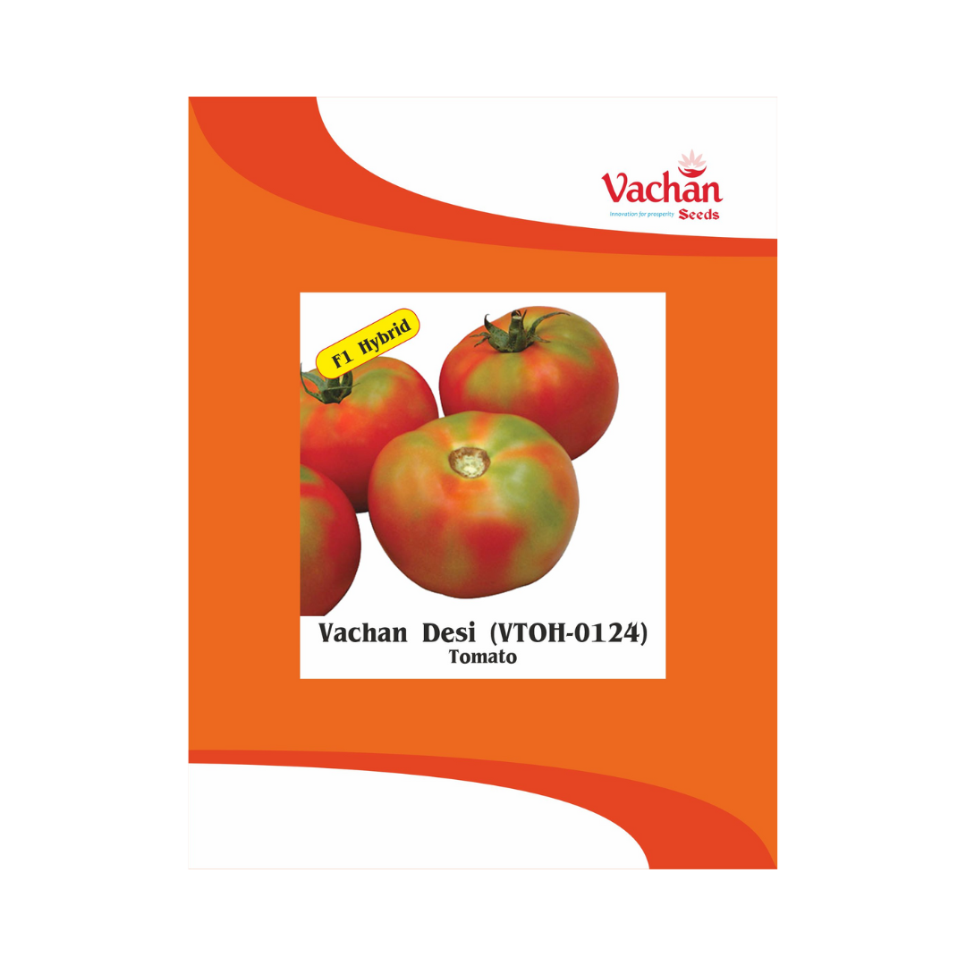 Vachan Desi (VTOH-0124) Tomato Seeds - Vachan | F1 Hybrid | Buy Online Now