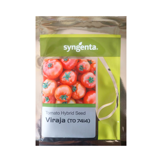 Viraja (TO 7414) Tomato Seeds - Syngenta | F1 Hybrid Seeds | Buy Online Now