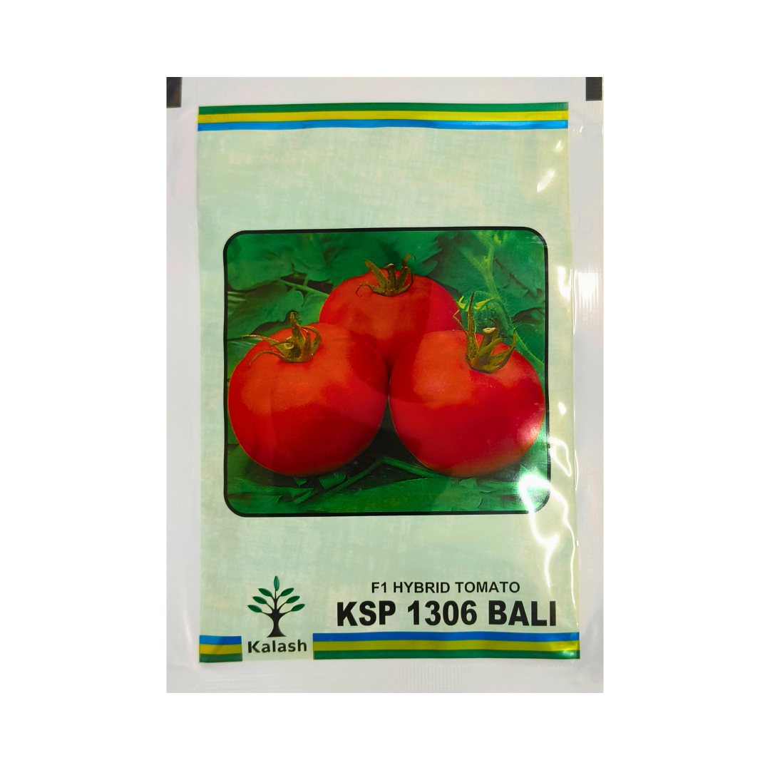 KSP 1306 Tomato Seeds - Kalash | F1 Hybrid | Buy Online at Best Price