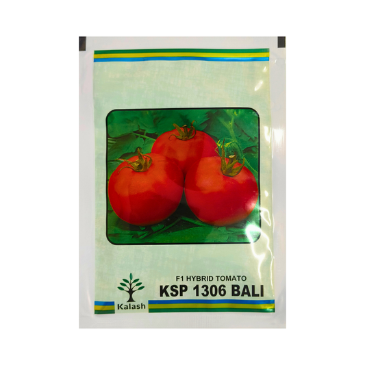 KSP 1306 Tomato Seeds - Kalash | F1 Hybrid | Buy Online at Best Price