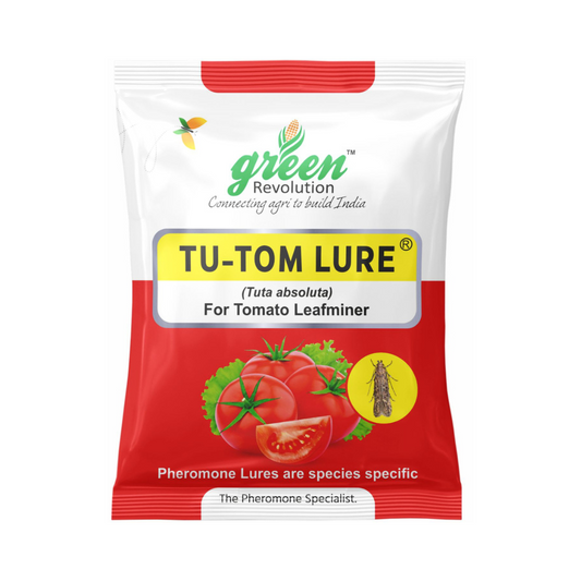 Tu Tom Lure Tuta Absoluta (Pack of 10) - Green Revolution | Buy Now