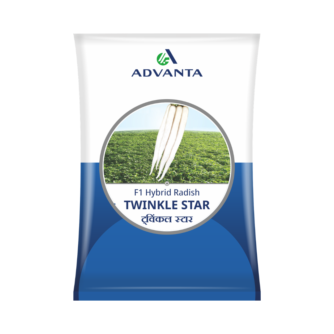 Twinkle Star Radish Seeds - Advanta | F1 Hybrid | Buy Online Now
