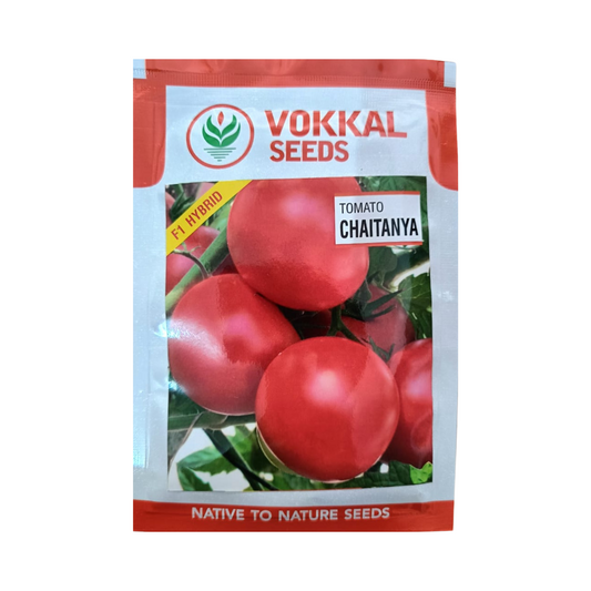 Chaitanya Tomato Seeds - Vokkal Seeds | F1 Hybrid | Buy Online Now