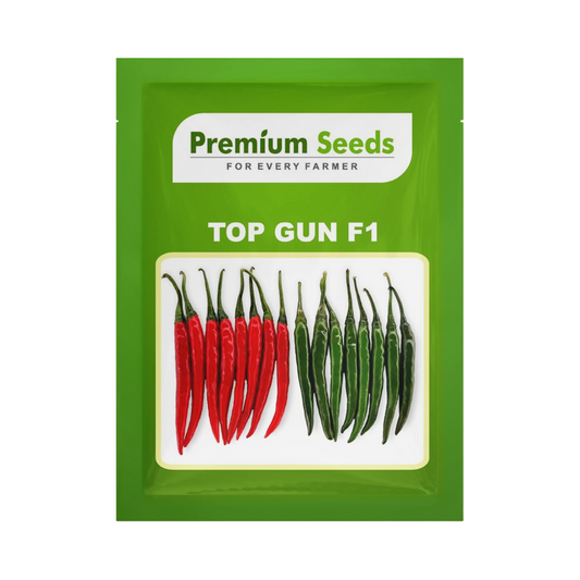 Top Gun Chilli Seeds - Premium Seeds | F1 Hybrid | Buy Online at Best Price