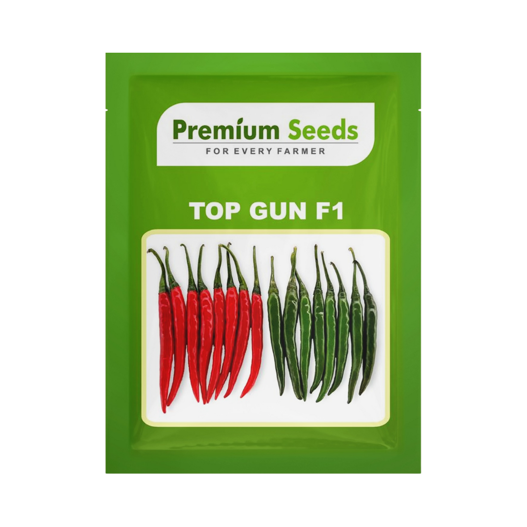 Top Gun Chilli Seeds - Premium Seeds | F1 Hybrid | Buy Online at Best Price