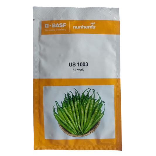 US 1003 Chilli Seeds | Buy Online At Best Price