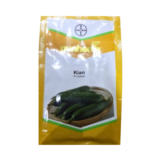 Kian Cucumber Seeds - Nunhems | F1 Hybrid | Buy Online at Best Price