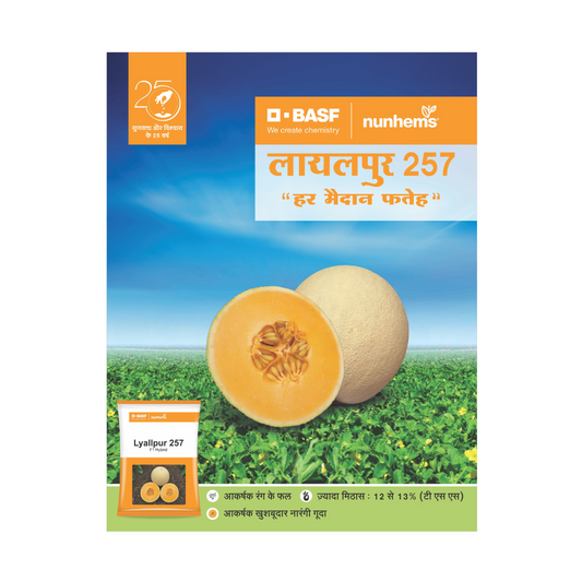 Lyallpur 257 Muskmelon Seeds - Nunhems | F1 Hybrid | Buy Online at Best Price