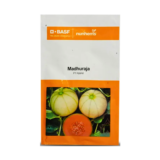 Madhuraja Muskmelon Seeds - Nunhems | F1 Hybrid | Buy Online at Best Price